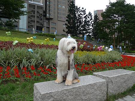 P1050846.JPG P1050846.JPG
