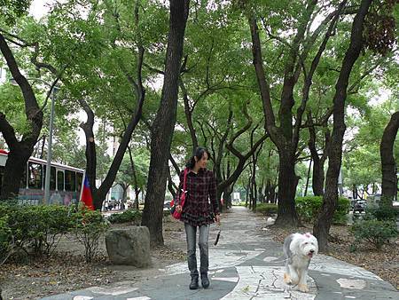 P1050632.JPG P1050632.JPG