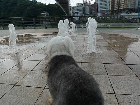 P1050396.JPG P1050396.JPG