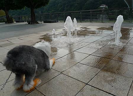 P1050398.JPG P1050398.JPG