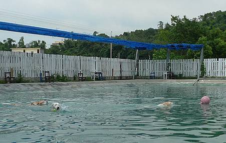 P1030490.JPG P1030490.JPG