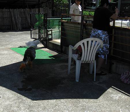 IMG_0416.JPG IMG_0416.JPG