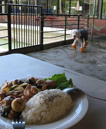 IMG_0519.JPG IMG_0519.JPG