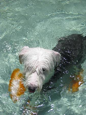 IMG_0514.JPG IMG_0514.JPG