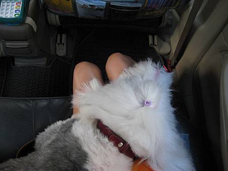 IMG_0551.JPG IMG_0551.JPG