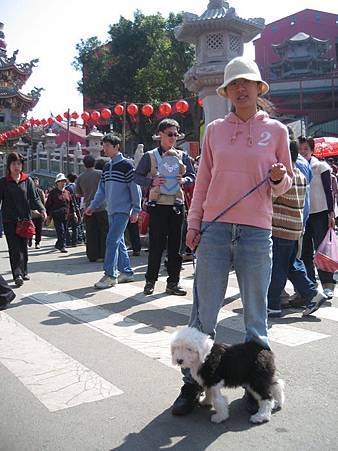 IMG_1405.JPG IMG_1405.JPG