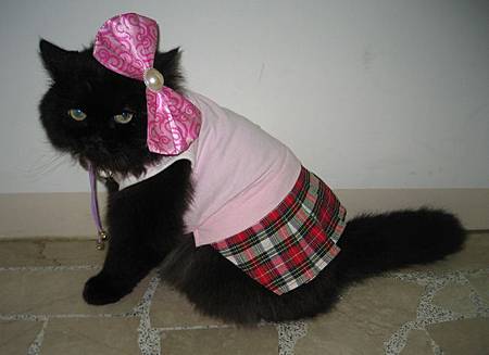 大蝴蝶結KITTY.JPG 大蝴蝶結KITTY.JPG