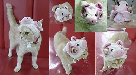 nippy pig.jpg nippy pig.jpg