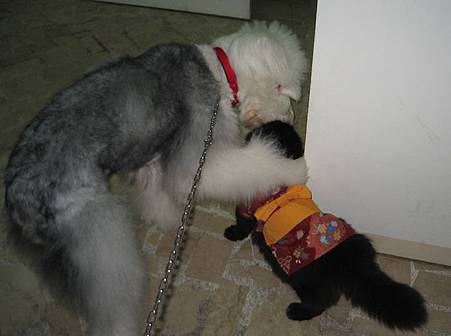 IMG_0973.JPG IMG_0973.JPG