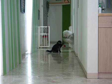 IMG_4565.JPG IMG_4565.JPG