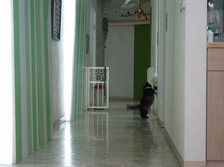 IMG_4566.JPG IMG_4566.JPG