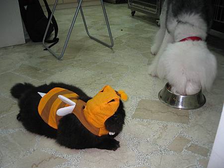 IMG_8179.JPG IMG_8179.JPG
