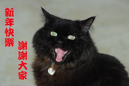 甜美笑容.JPG 甜美笑容.JPG