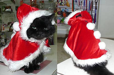 黑皮聖誕大斗蓬.jpg 黑皮聖誕大斗蓬.jpg