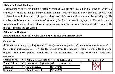 pathology 1.jpg pathology 1.jpg