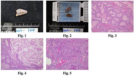 pathology 2.jpg pathology 2.jpg