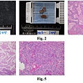 pathology 2.jpg