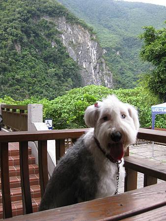 IMG_2978.JPG IMG_2978.JPG