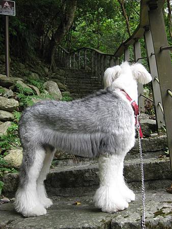 IMG_3075.JPG IMG_3075.JPG