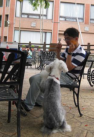 IMG_3117.JPG IMG_3117.JPG