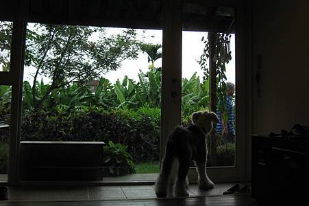 IMG_3135.JPG IMG_3135.JPG