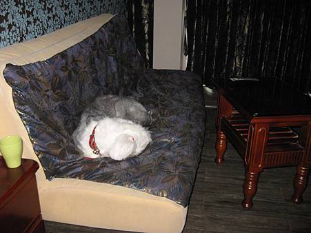 IMG_3166.JPG IMG_3166.JPG