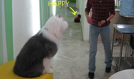 IMG_1471.JPG IMG_1471.JPG