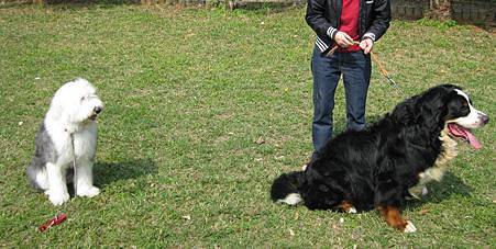 IMG_0989.JPG IMG_0989.JPG