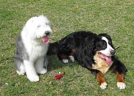 IMG_0991.JPG IMG_0991.JPG