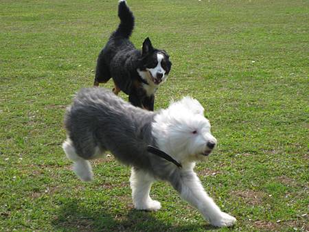 IMG_1005.JPG IMG_1005.JPG