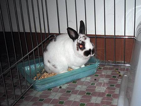 IMG_0179.JPG IMG_0179.JPG