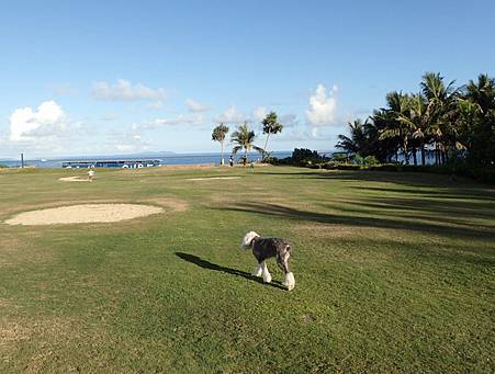 P7231334.JPG P7231334.JPG