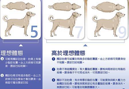 體態表-2.jpg 體態表-2.jpg