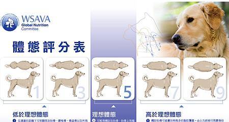體態表-1.jpg 體態表-1.jpg
