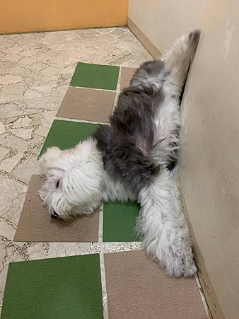 IMG_1825.jpeg IMG_1825.jpeg