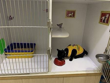IMG_3956.jpeg IMG_3956.jpeg