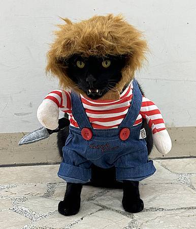 有刀的恰吉丸＋慶賀來院3年