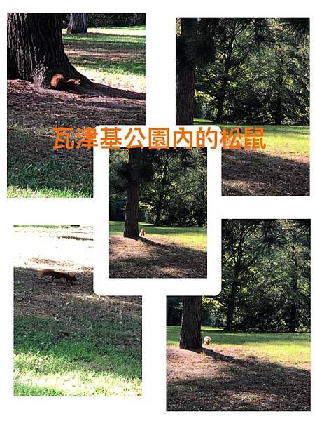 2019.09.27-波蘭華沙瓦津基公園(又名蕭邦公園)-07.jpg