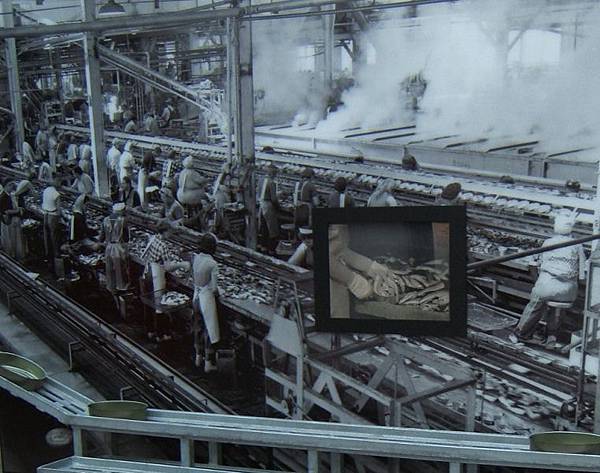 10603 翻拍 Sardine factory