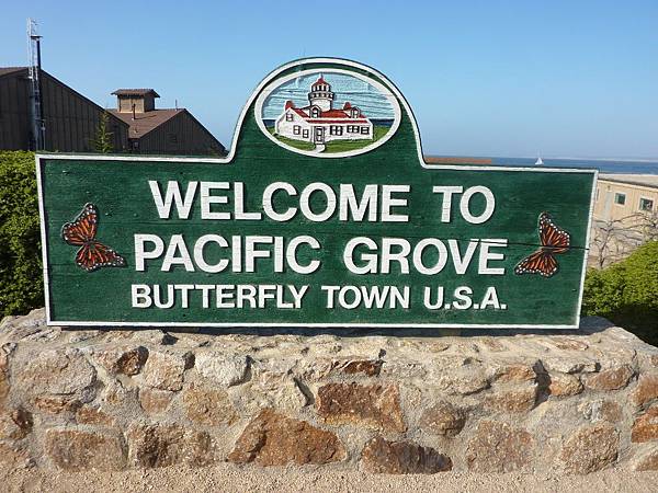 10801 Butterfly Town