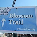 3301Blossom Trail.jpg