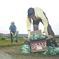 12102a Salinas  Valley.JPG