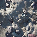 139 460 pebbles.JPG