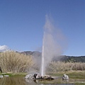 3913 Napa 03.08.09_geyser