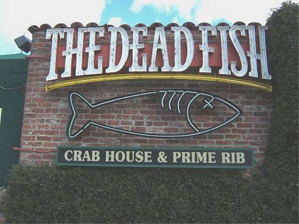 30007 050 死魚餐廳.jpg