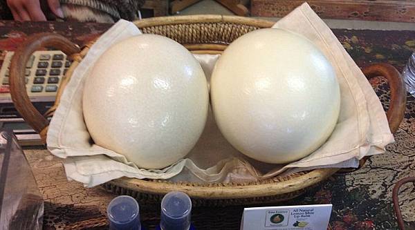 251 415 Ostrich eggs.jpg