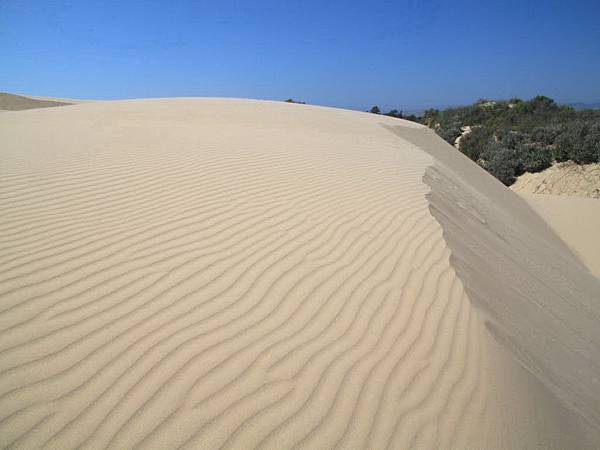 256 110 Oceano Dunes.jpg