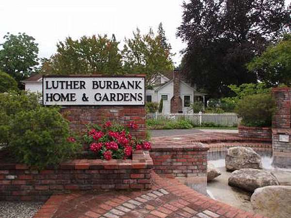 看山讀水 023 綠手指luther Burbank 趴趴虎的部落格 痞客邦 看山讀水 023 綠手指luther Burbank 趴趴虎的部落格 痞客邦