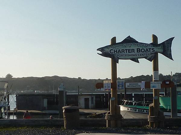 290 110 Bodega Bay.jpg