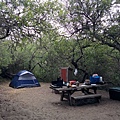 291 340 Bodega Dunes Campground.jpg